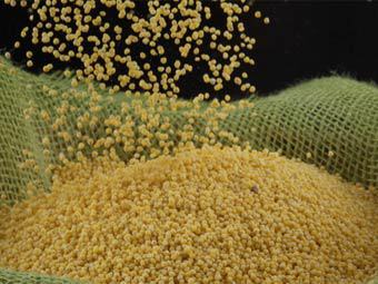 ���� � ����� photl.com