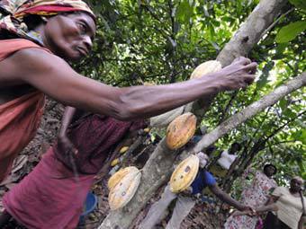 �����-��������� � ���-�'������. ���� &copy;AFP