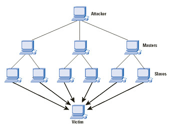 ����� DDoS-�����. ����������� � ����� oszone.net