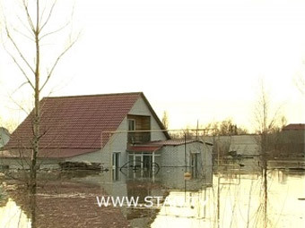    .    stan.tv