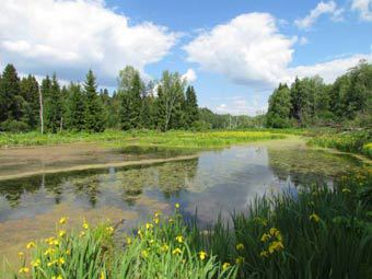  .    elkisland.ru 