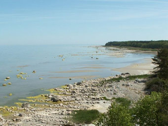  .    visitestonia.com