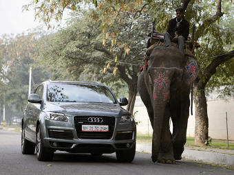 ���� �����-������ Audi India