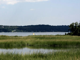 ����� Oyster Bay �� ����-�������. �������� ���� jack.ryan photography
