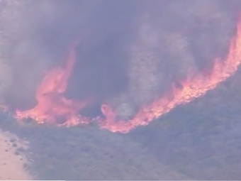 ������ ������ � ����������. ���� ���������� CNN