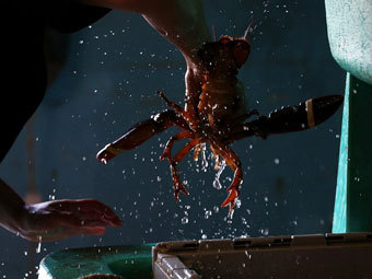 ���� Reuters 