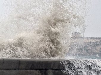 ����������� ����� "�����" �� ��������� ����. ���� &copy;AFP