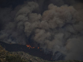 ������ ����� � ������������ ���-���������. ���� Reuters