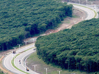 ���� ��� �������, ������� ������