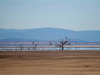 ����� ������-�� � ���������� ���. ���� &copy;AP