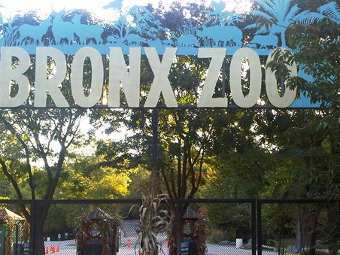 ������� �� ����� � ������� �������. ���� &copy;AP