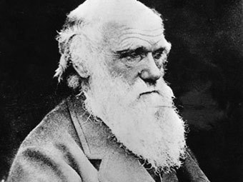 ������ ������. ���� �� ������ &copy;AP