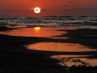 ������������ ��������� ��������. ���� 2011 ���� &copy;AFP