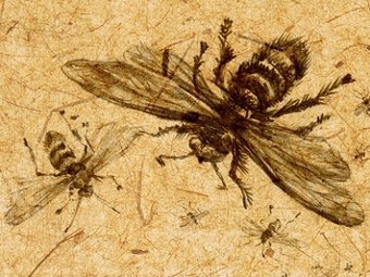 �������� ������� "������ ������� ������������"