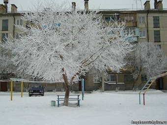   .    bogdanovichplus.ru